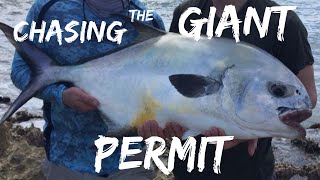 How to fish for permit hook set GIANT PERMIT ON FLY tips amp crabs [upl. by Englis]