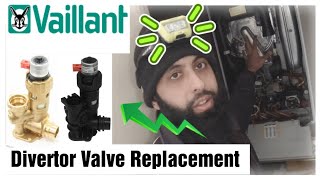 Vaillant EcoTec Diverter Valve Replacement  FULL [upl. by Novah805]