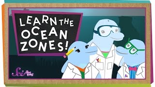 Lets Learn the Ocean Zones [upl. by Nirot]