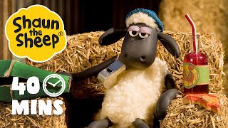 Shaun The Sheep  Hindi  Shirley Whirley [upl. by Norvan]