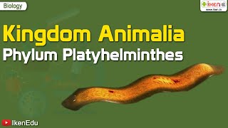 Kingdom Animalia Phylum Platyhelminthes  Biology  iKen  iKenEdu  iKenApp [upl. by Keverne576]