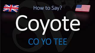 How to Pronounce Coyote  English American Pronunciation [upl. by Aihceyt]