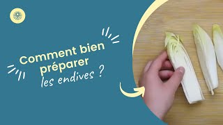 Comment bien préparer les endives [upl. by Amarillis]