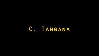 C Tangana  Bolsas letra [upl. by Annunciata]