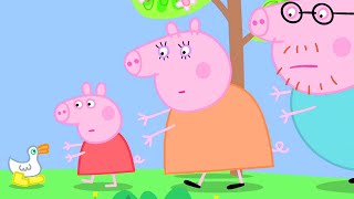 Peppa Pig Cant Find Her Golden Boots Peppa Pig Official Family Kids Cartoon [upl. by Siraved381]