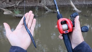 How To Catch MORE Bass Bass Fishing Tips [upl. by Aggappora]