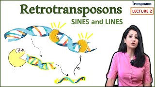 Retrotransposons II LINES SINES II Transposons Part 2 [upl. by Bernette239]