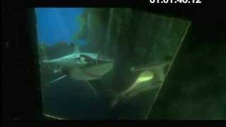 Finding Nemo HD  boat 4 [upl. by Nnav6]