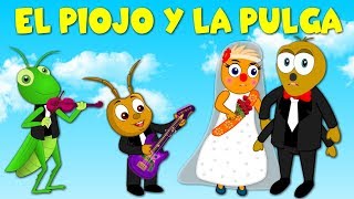 El piojo y la pulga  Canción Infantil en Español [upl. by Ahsemac]