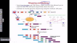 Genome sequencing [upl. by Lanod]