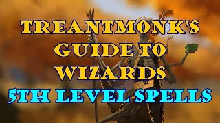 Treantmonks Guide to Wizards 5th level spells [upl. by Nonnelg13]