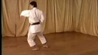 Nijushiho Ohta Sensei JKA Shotokan [upl. by Jeniffer]