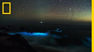 See a Glowing Plankton Bloom in Californias Big Sur  National Geographic [upl. by Anelim]