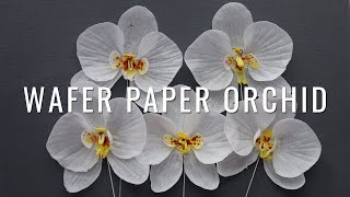 How to make Wafer Paper Orchid [upl. by Sundstrom]