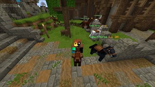 Stable Story  A Wynncraft Guide [upl. by Montford]