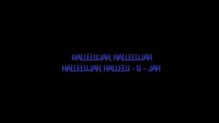 Hallelujah Lyrics Leonard Cohen [upl. by Haelem162]