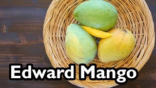 Truly Tropical Mango Varieties Edward [upl. by Yk]