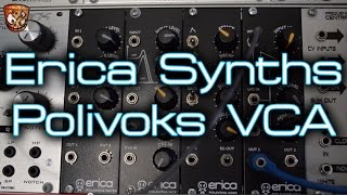 Erica Synths  Polivoks VCA [upl. by Aicemaj202]