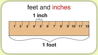 Measurement Feet and Inches [upl. by Bently]