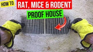 How To Protect your Home from Rats Mice amp Rodents Jonny DIY [upl. by Ettelegna]