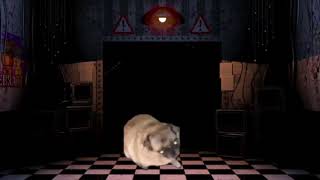 pug dancing to fnaf music box for one hour [upl. by Aicia]