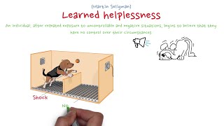 Learned helplessness theory [upl. by Rollie]