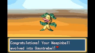 Pokémon Adventure Red Chapter  How To Evolve Weepinbell To Gauntrebell [upl. by Cale648]