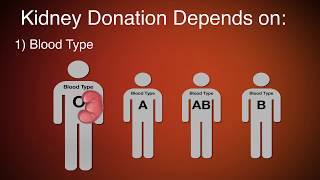 Kidney Donation And Transplant Requirements  Piedmont Healthcare [upl. by Merritt]