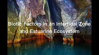 Biotic Factors in an Intertidal Zone and Estuarine Ecosystem [upl. by Soirtimid]