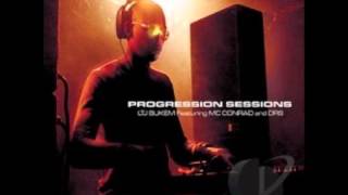 LTJ BUKEM Progression Sessions 5 Sky Line Track 1 [upl. by Noleta128]