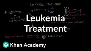 Leukemia  Causes and Symptoms  Part 23 [upl. by Naesar]