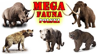 Prehistoryczne MEGA Zwierzęta Polski [upl. by Okechuku]