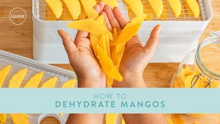 How to Dehydrate Mango  Luvele Breeze Dehydrator [upl. by Isnan249]