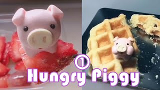 Hungry Hungry Piggy1 🐽 Super Cute Stop Motion Mini Pig Eating The music is so funny cant stop 🤣🤣 [upl. by Perri]