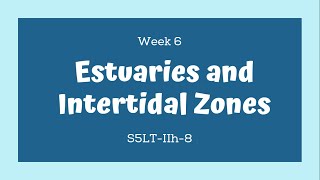 Grade 5 Science MELC BASED Quarter 2 Lesson 6 Estuaries and Intertidal Zones [upl. by Nolrac]