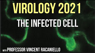 Virology Lectures 2021 11  The Infected Cell [upl. by My]