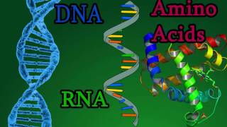 Osteoarthritis vs rheumatoid arthritis symptoms  NCLEXRN  Khan Academy [upl. by Ahsiyt166]