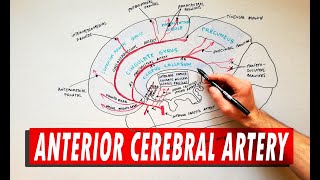 Prepping the Sentinel Cerebral Protection System [upl. by Naleag235]