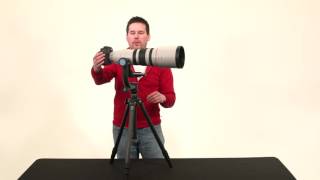 How to Setup amp Use a Gimbal Head For Wildlife Photography [upl. by Nawed]