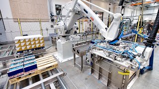 Fully automatic robot palletising system for boxes [upl. by Eltsyek]