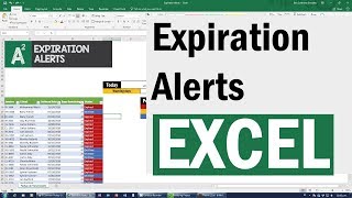 Essential Skill with Excel Expiration Alerts with Conditional Formatting [upl. by Robbins]