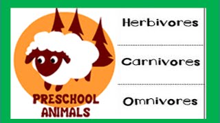 Herbivore Carnivore Omnivore Animals [upl. by Dolli]