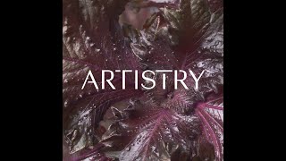 Meet the Artistry™ Brand  Skin Nutrition  Amway [upl. by Laehctim]