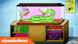 Sanjay and Craig  Official Theme Song  Nick [upl. by Gish365]