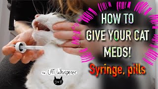 HOW TO GIVE YOUR CATS MEDS syringe pills [upl. by Landmeier]