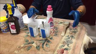 How To Remove Cat Urine From Wool Rugs [upl. by Lezley27]