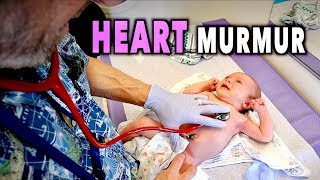 NEWBORN HEART MURMURS What You Need to Know  Dr Paul [upl. by Arze]