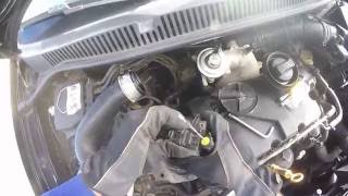 Volkswagen Polo 14 TDI Clean EGR Valve  Light Motor [upl. by Adriel]