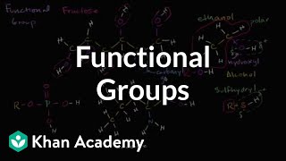 Functional groups  Properties of carbon  Biology  Khan Academy [upl. by Silvain]