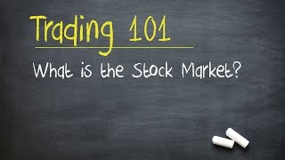 Trading 101 What is the Stock Market [upl. by Esinehc677]